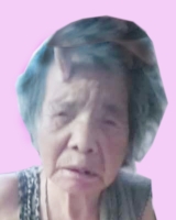 [女]约1950年生1997年河北保定被拐聋哑盲彦淑荣寻亲2109110941