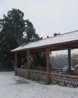 [男]寻找约1908年出生1943年被抓丁黔东南王祖锡后人2201061723